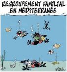 Projections médiatiques autour des « migrants »